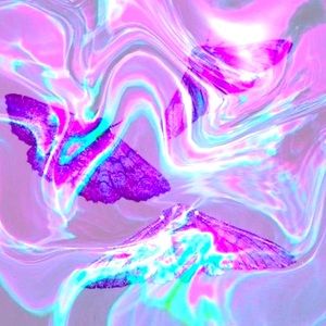 ‼️‼️IMPORTANT INFORMATION